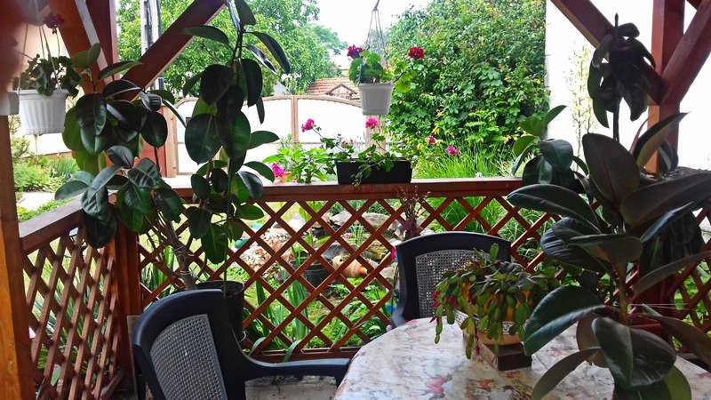 Karácson Mária kertje 02